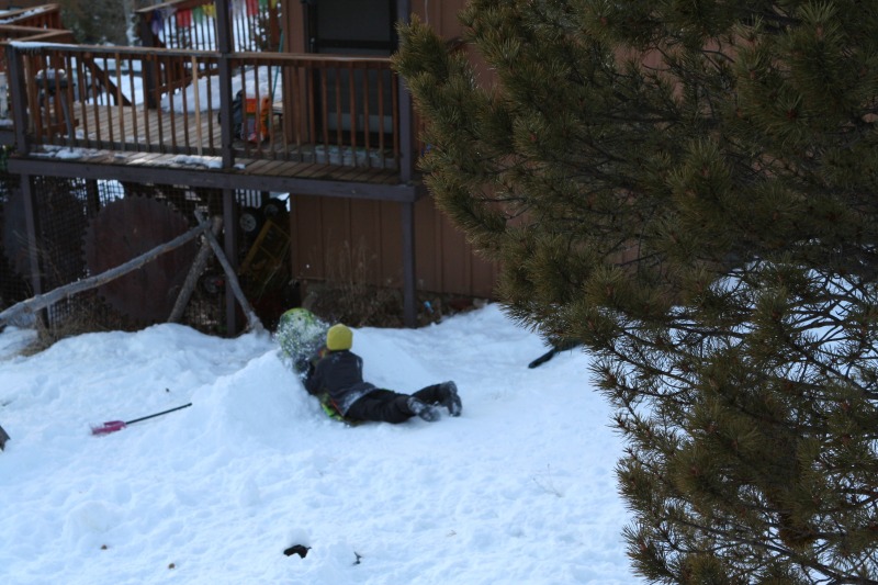 2010-12-24-061 Christmas in Colorado.jpg